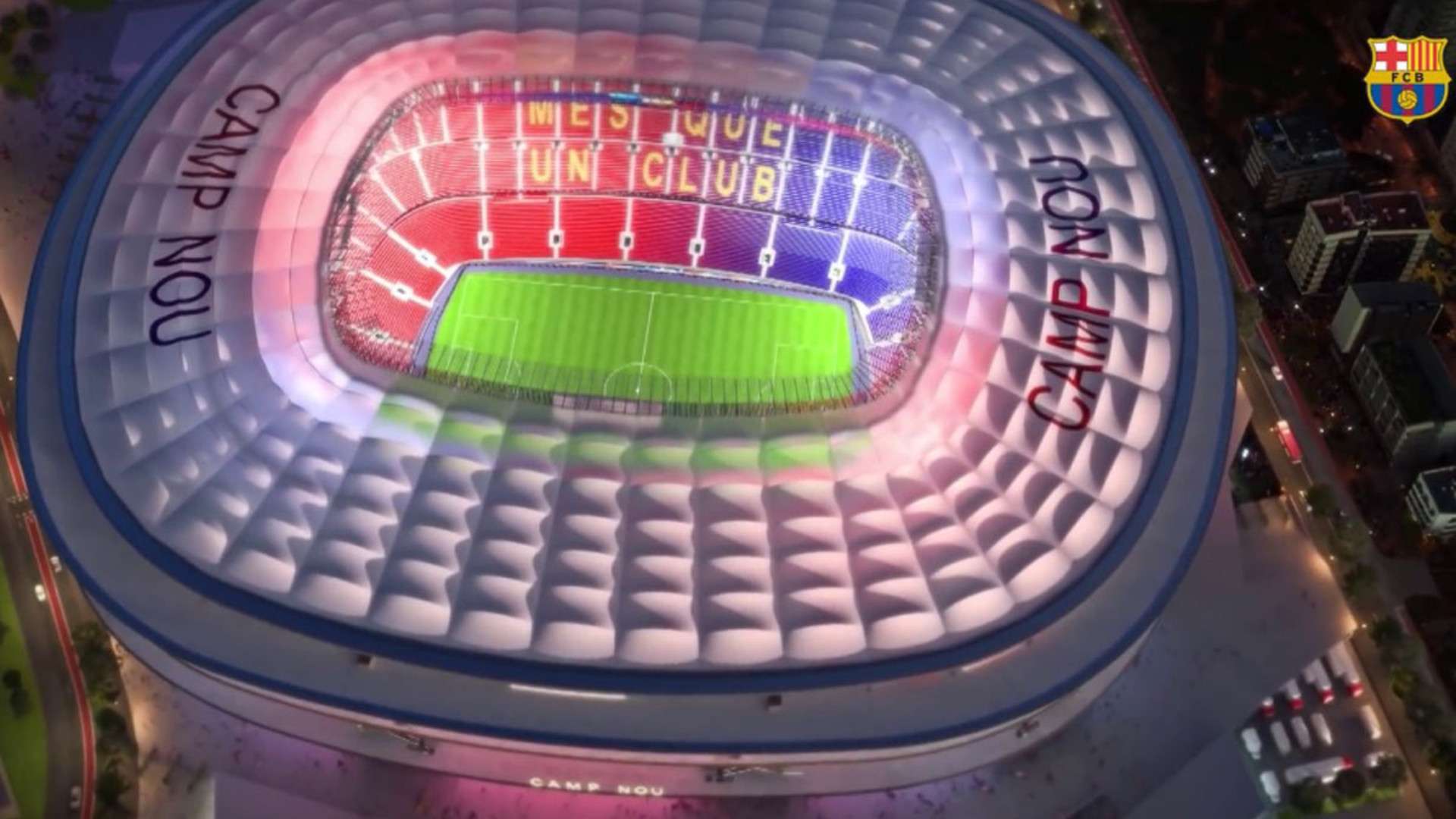 仅见证了巴 仅见证了巴