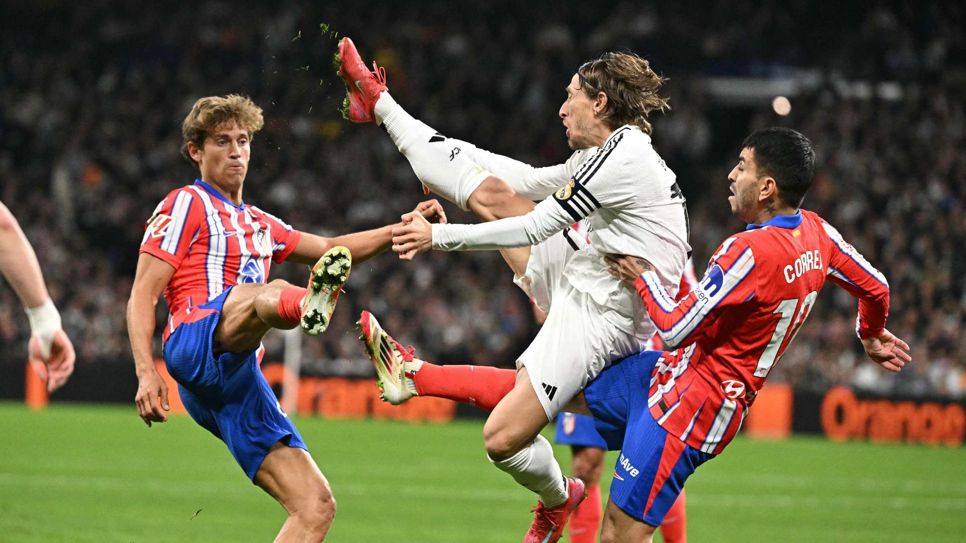 这一战略的 这一战略的